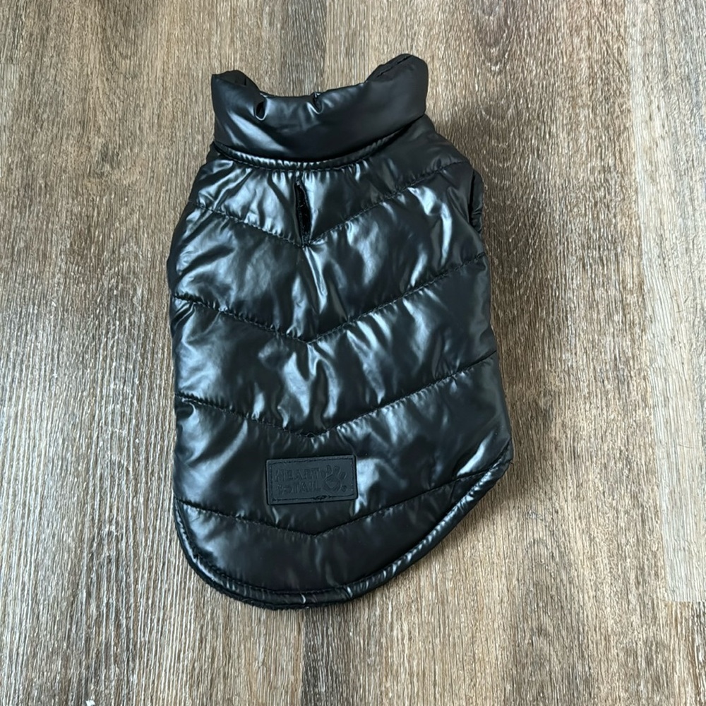 Super Cute Black Puffer Jacket for a Small Dog!
